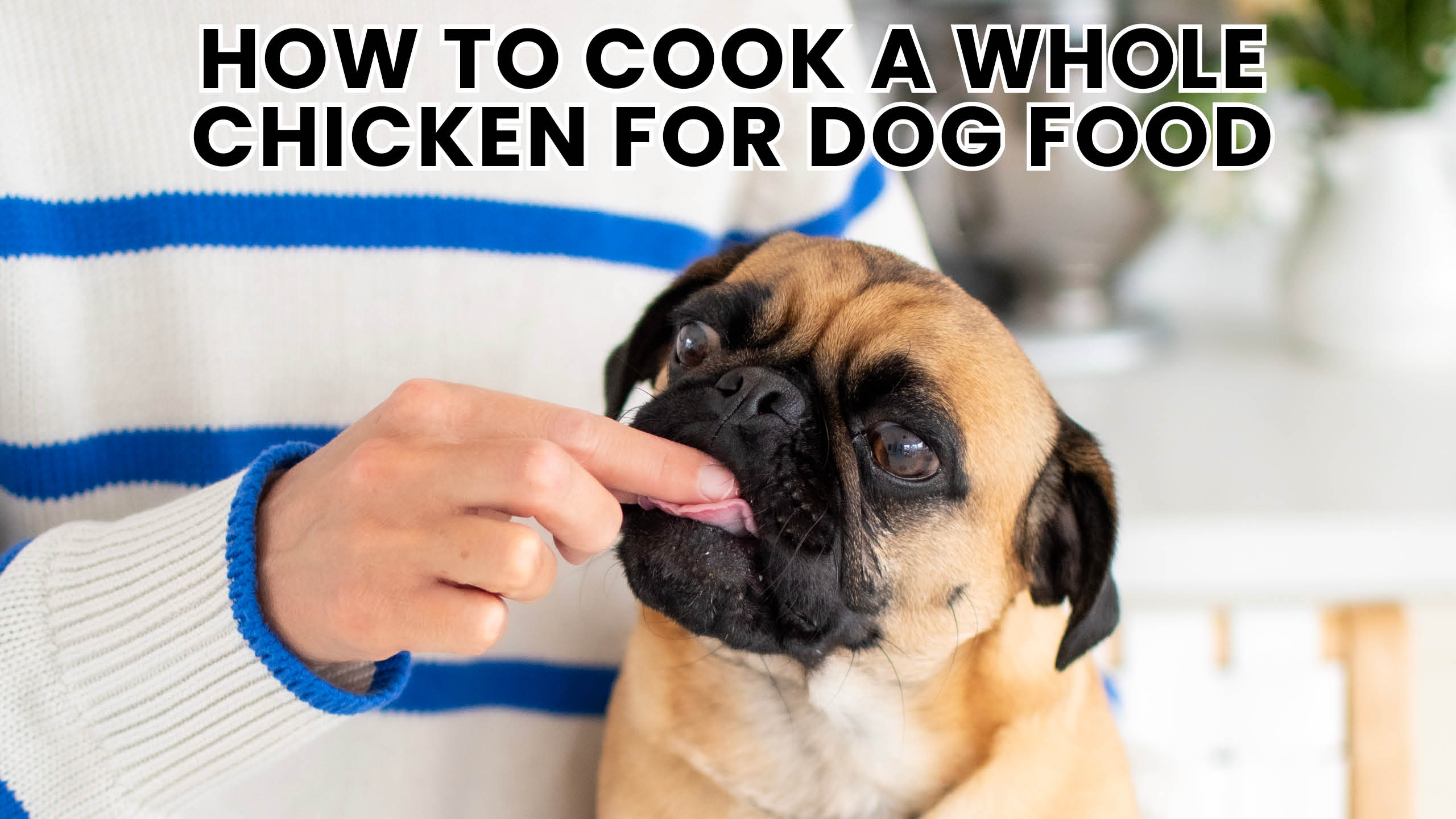 Cooking a Whole Chicken for Your Dog