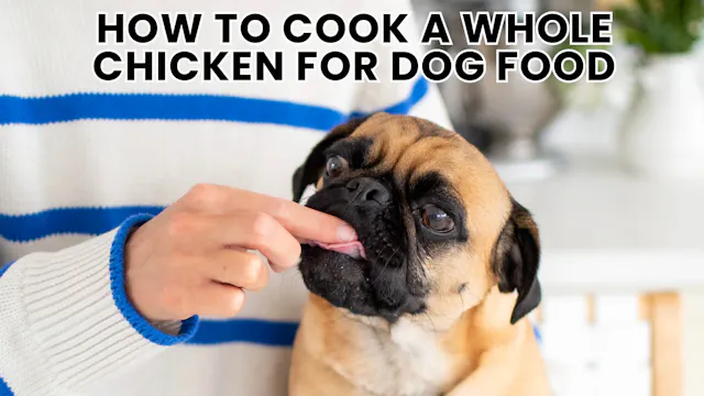 Cooking a Whole Chicken for Your Dog