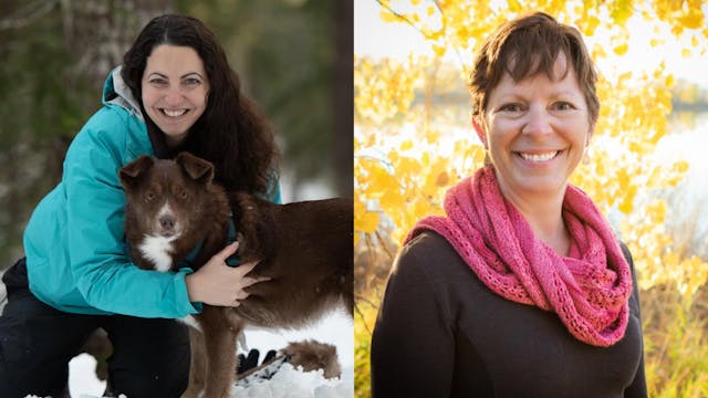 Valentine’s Love, Animal Bonds & Why ...