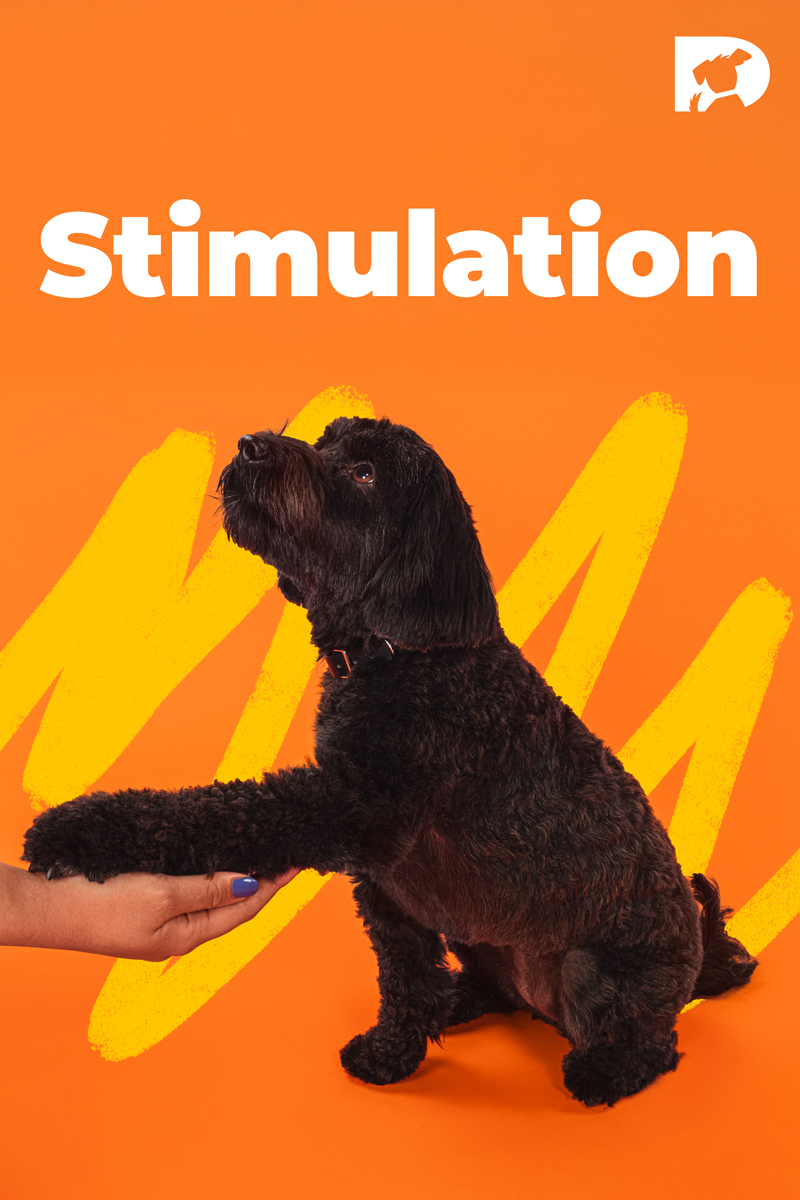 Stimulation