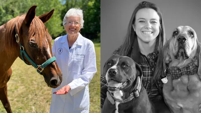 Pet Industry Trends, Behavior Science...