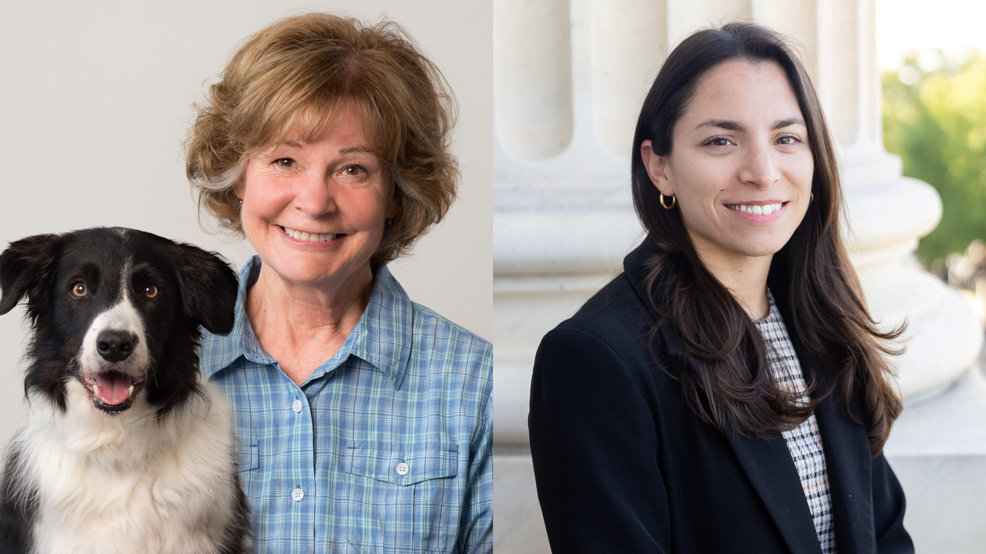 The Science of the Human–Animal Bond