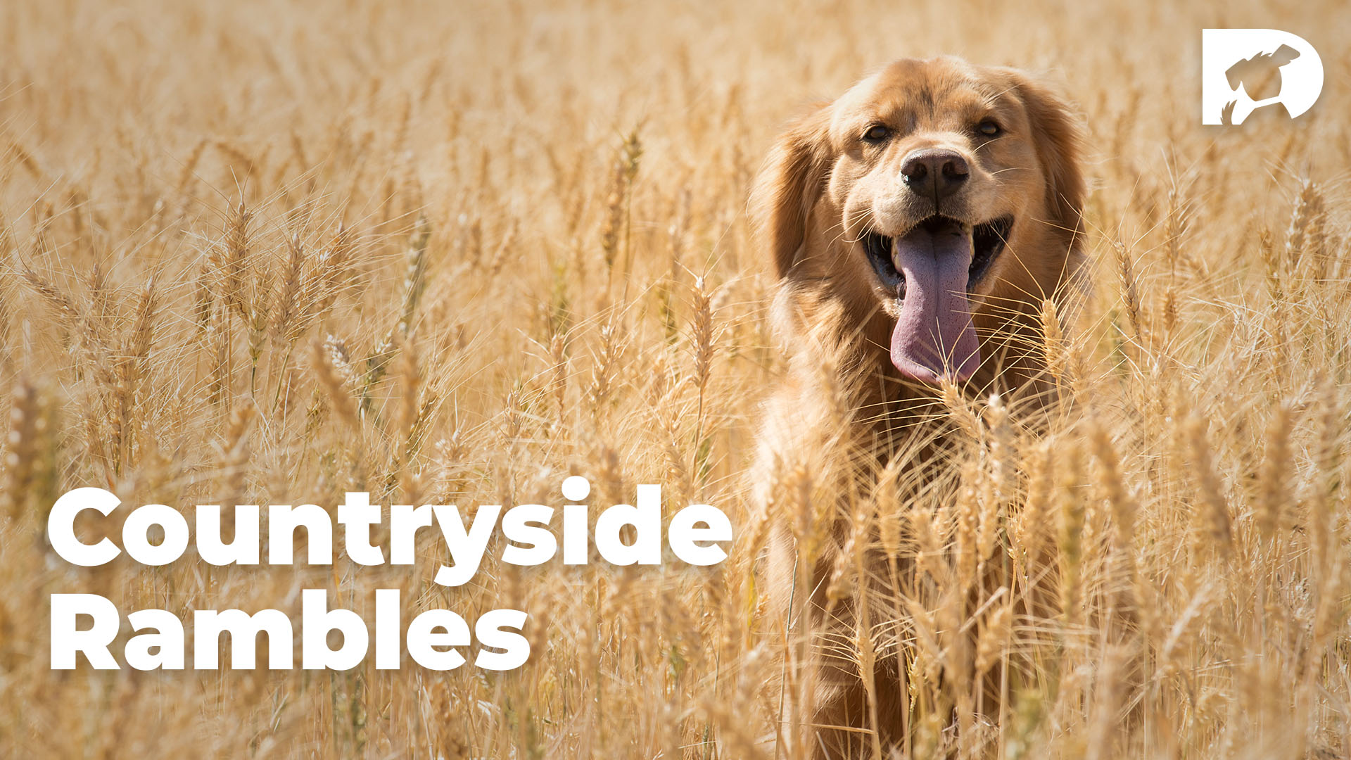 From the Vault: Countryside Rambles