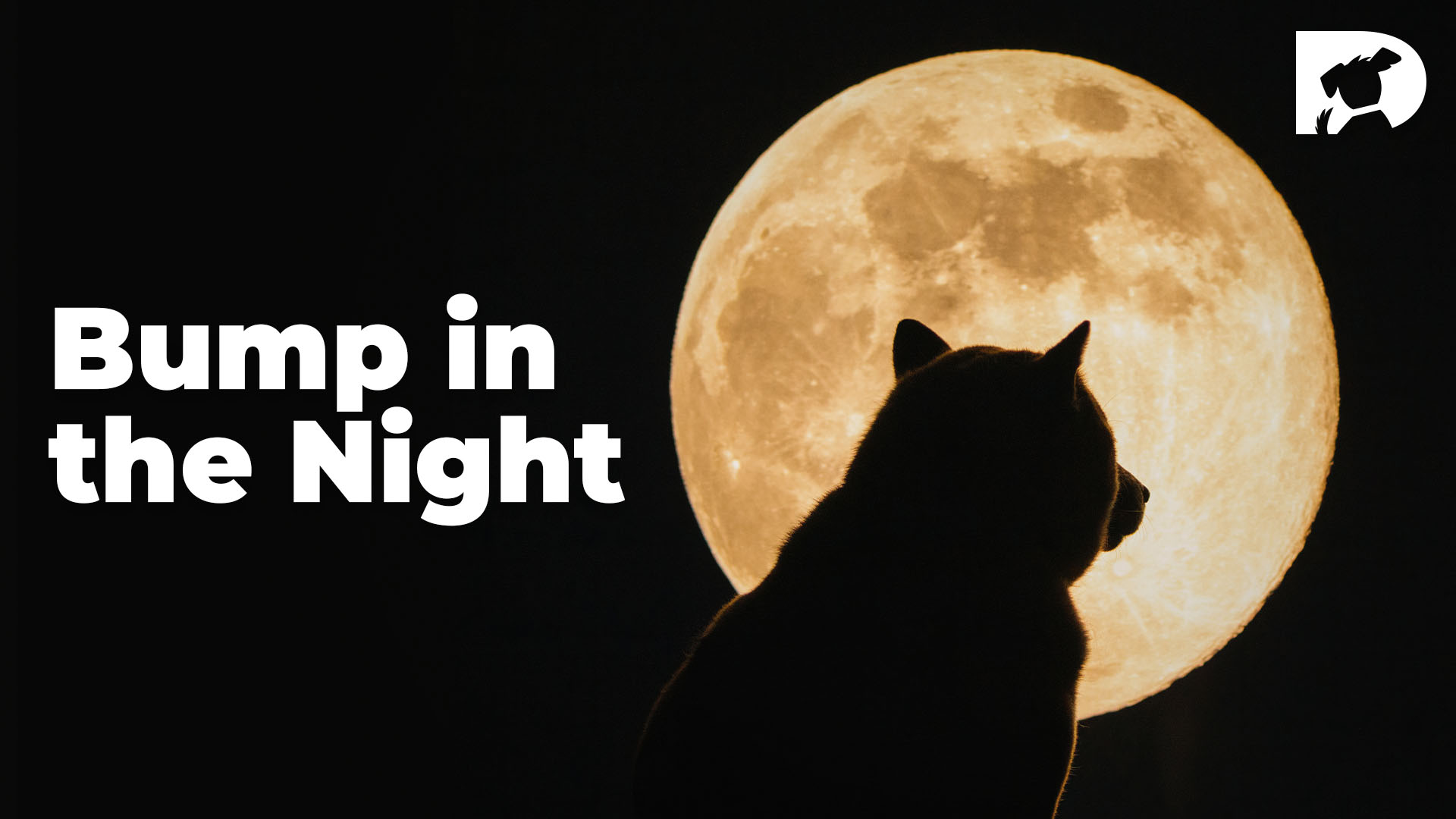 Bump in the Night