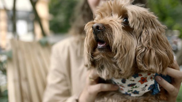 From Shelter to Support