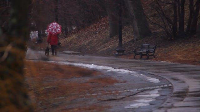 Rainy Stroll