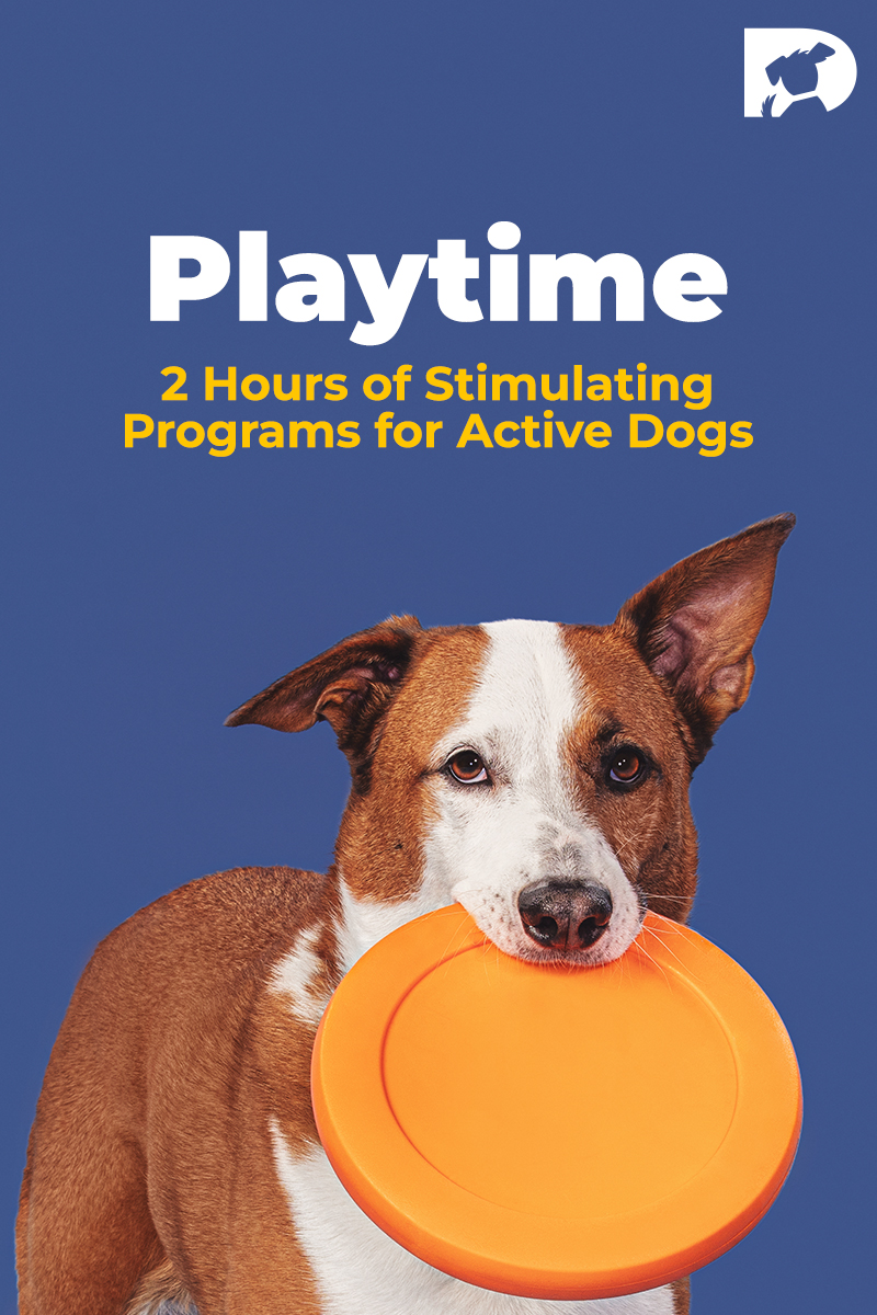 Playtime