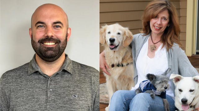 Raw Food, Rescue Dogs & Bodega Cats