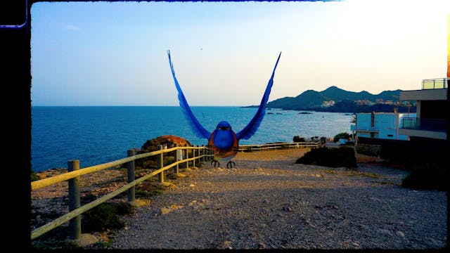 Cliffside Flight