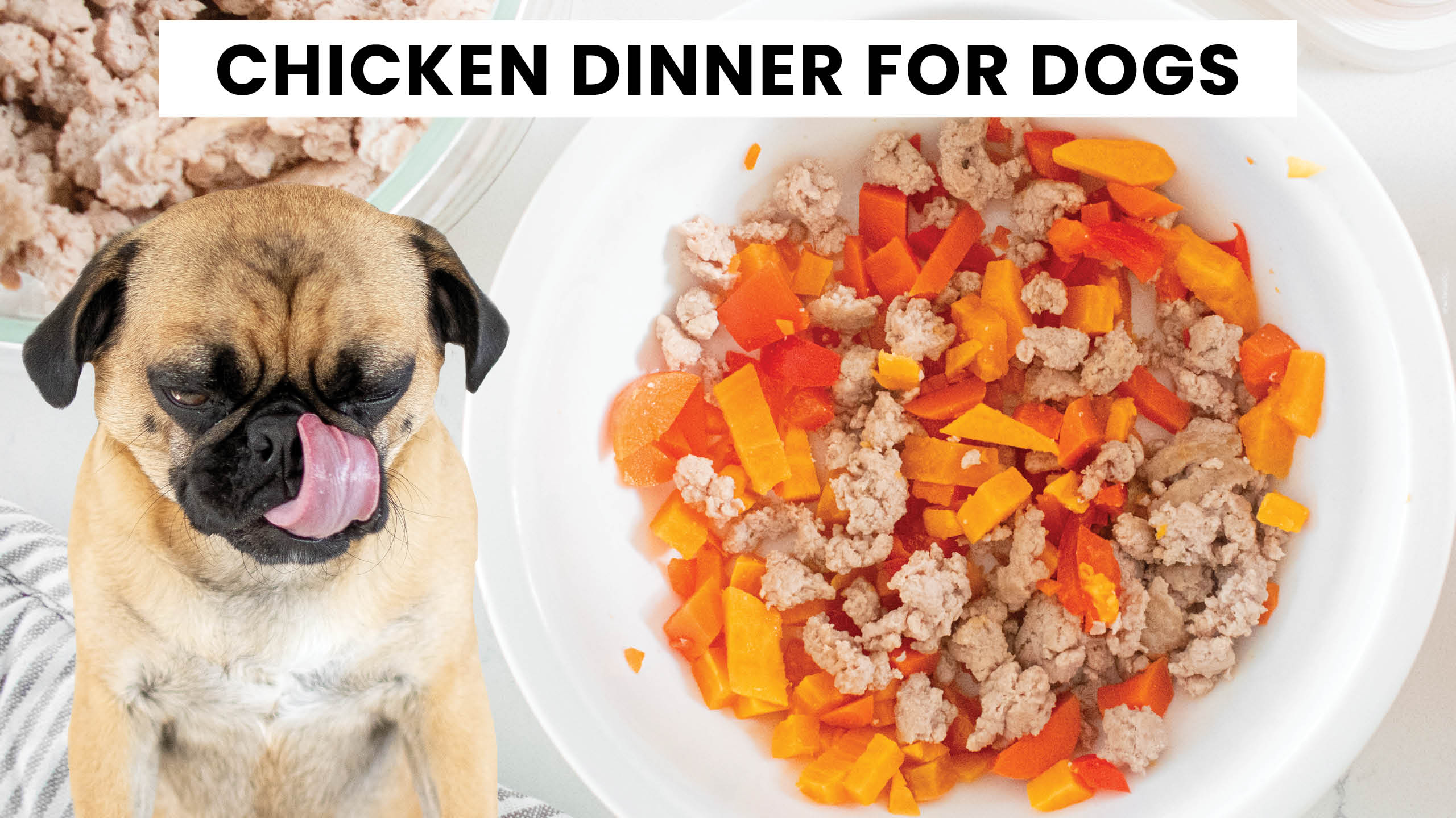 Easy Chicken Dinner Recipe for Dogs