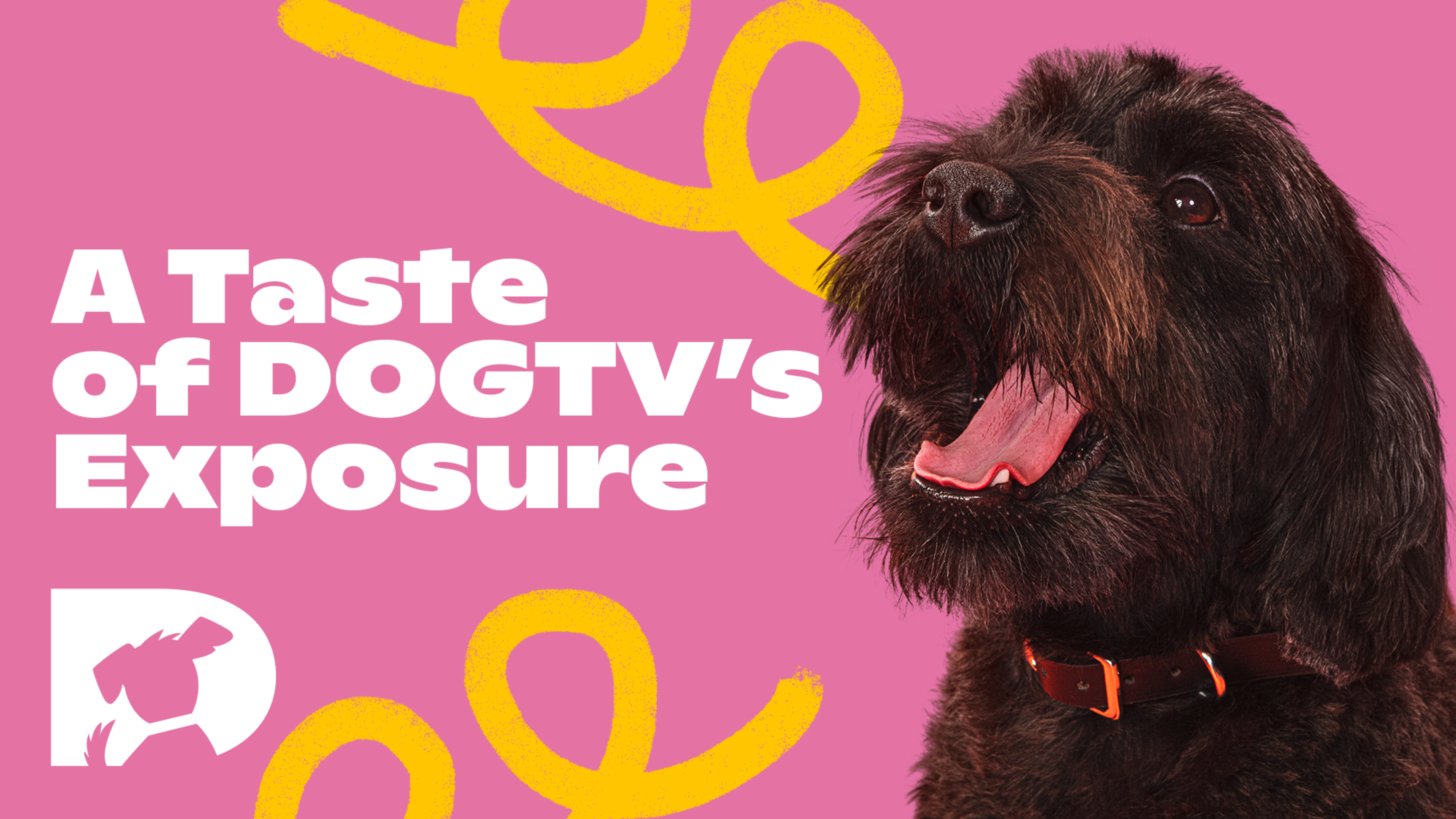 A Taste of DOGTV's Exposure