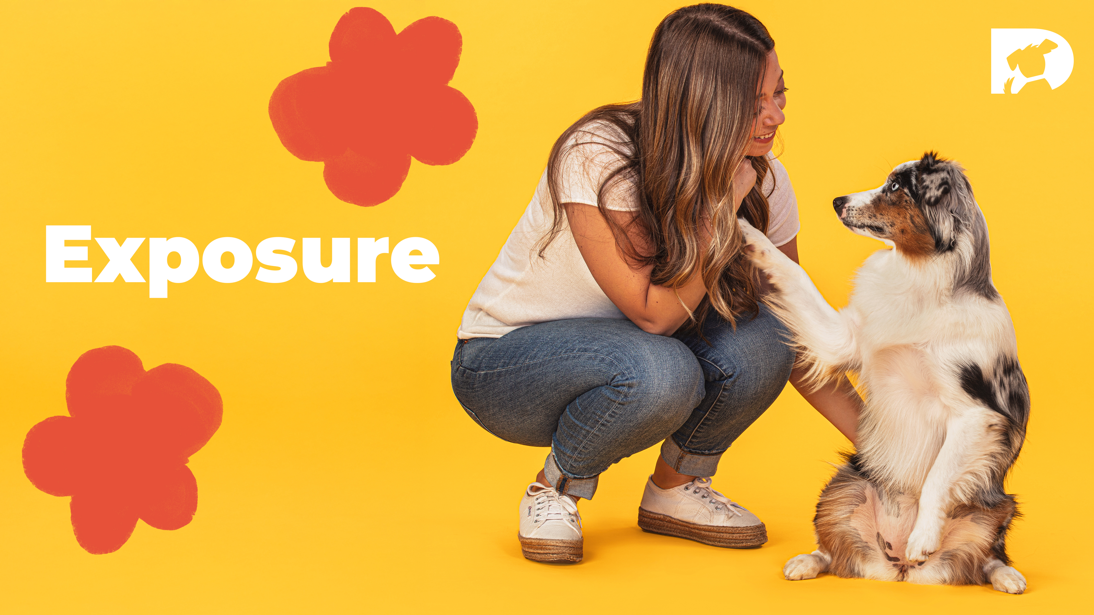 Help Your Dog Build Confidence with Real-Life Noises and Experiences