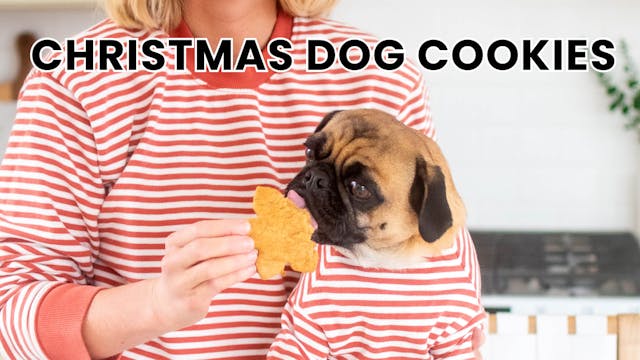 Christmas Dog Cookies