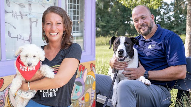 Veterans, Service Dogs & Pets That Heal