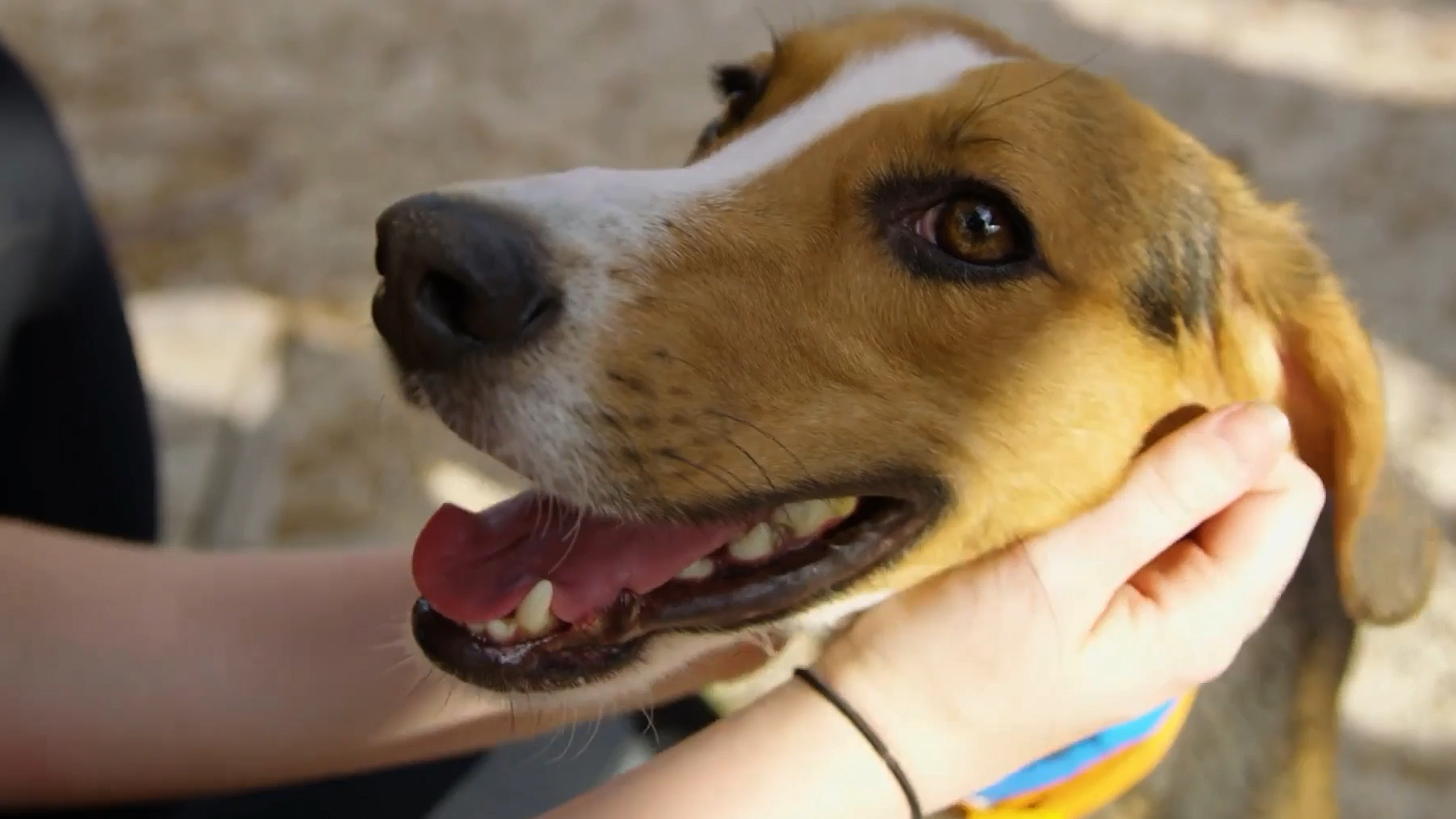 Paving the Way to Forever