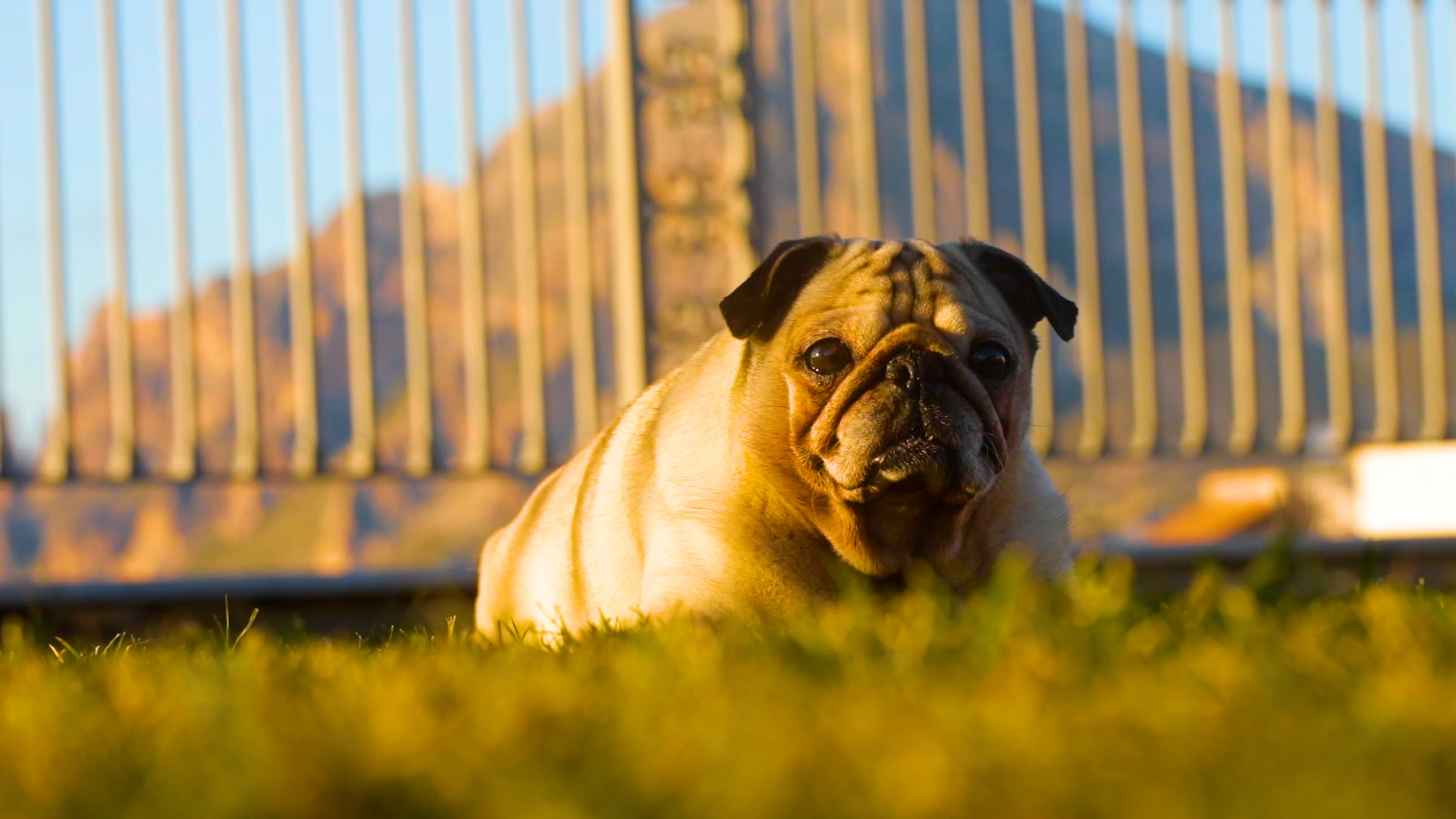 Resting in the Square