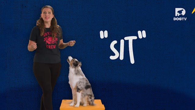 Sit