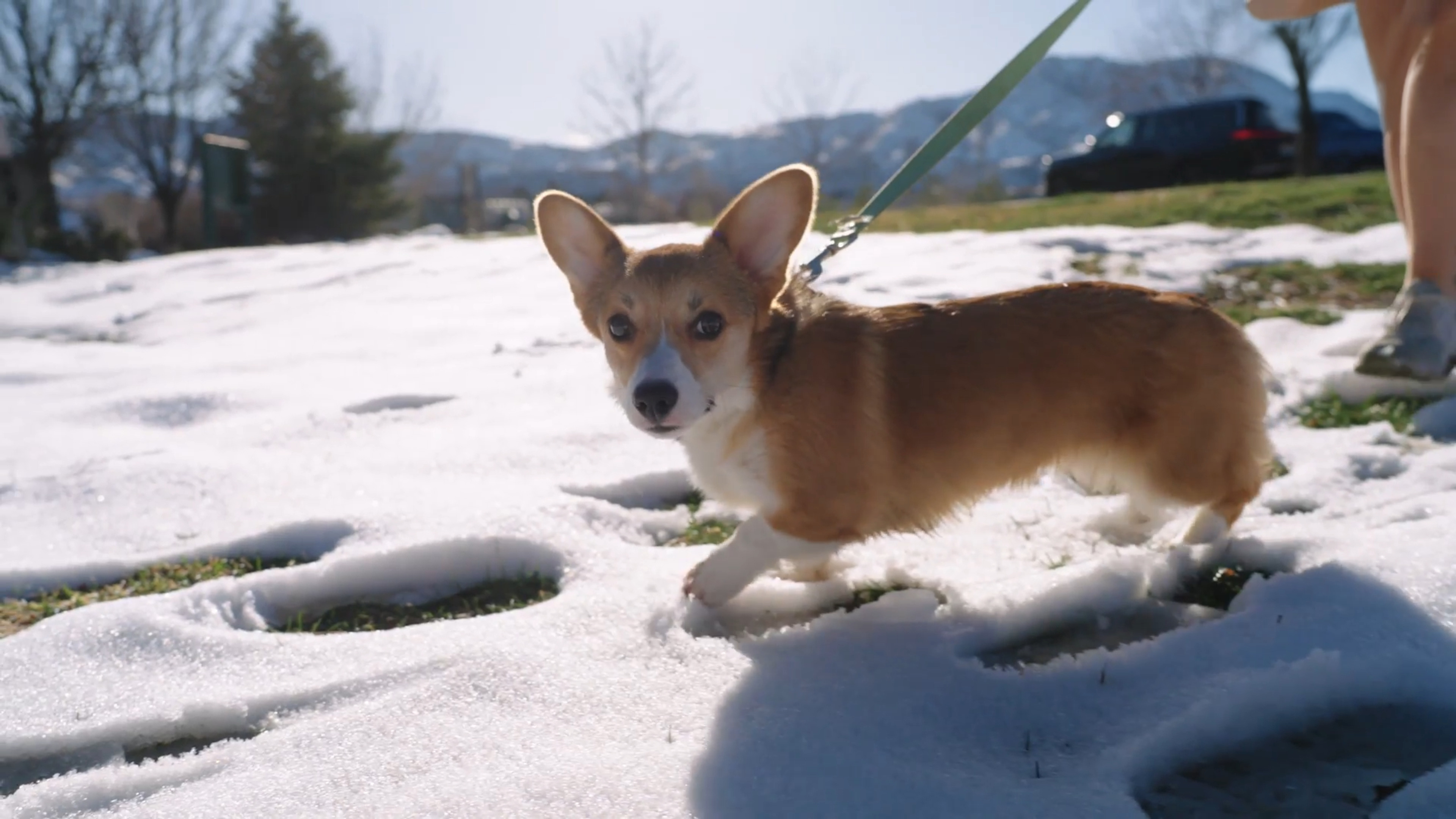 Yoga and Physical Wellness