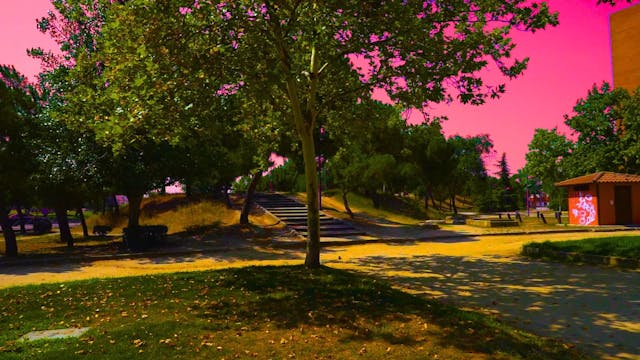 Colorful Nature