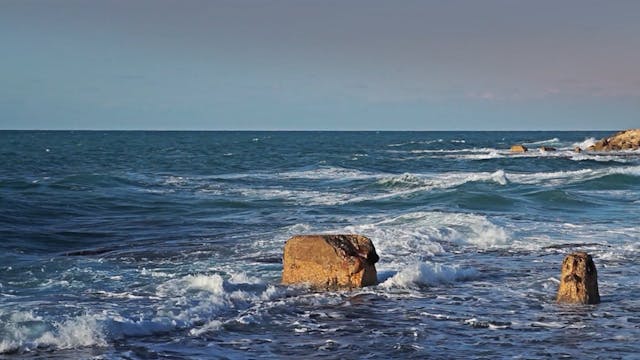 Shoreline Sounds