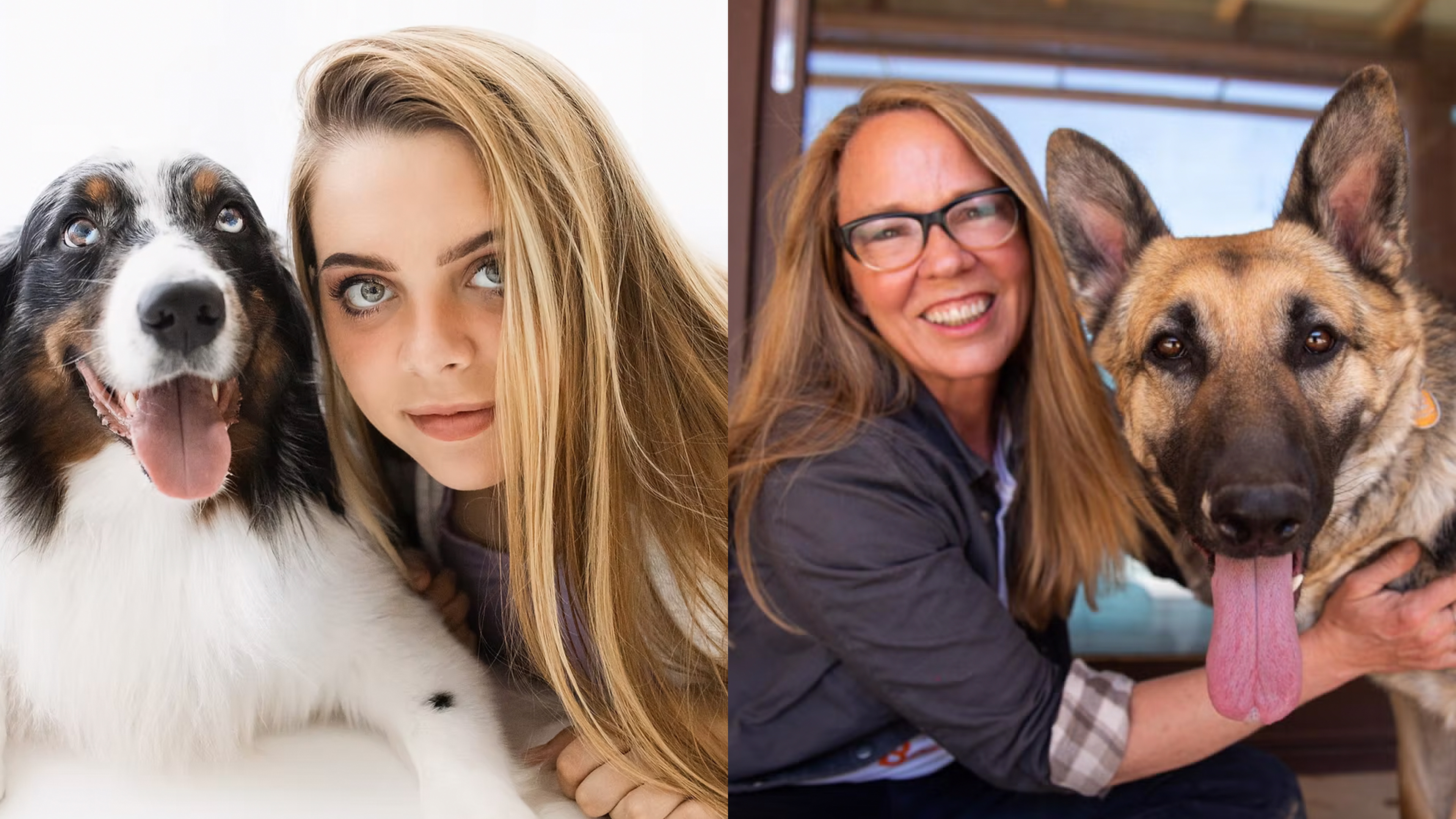 Service Dogs, Disability Advocacy & Adopt-a-Cat Month