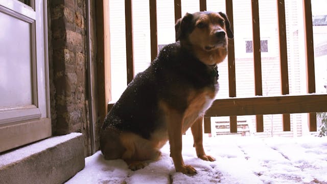 Snow Day Blues
