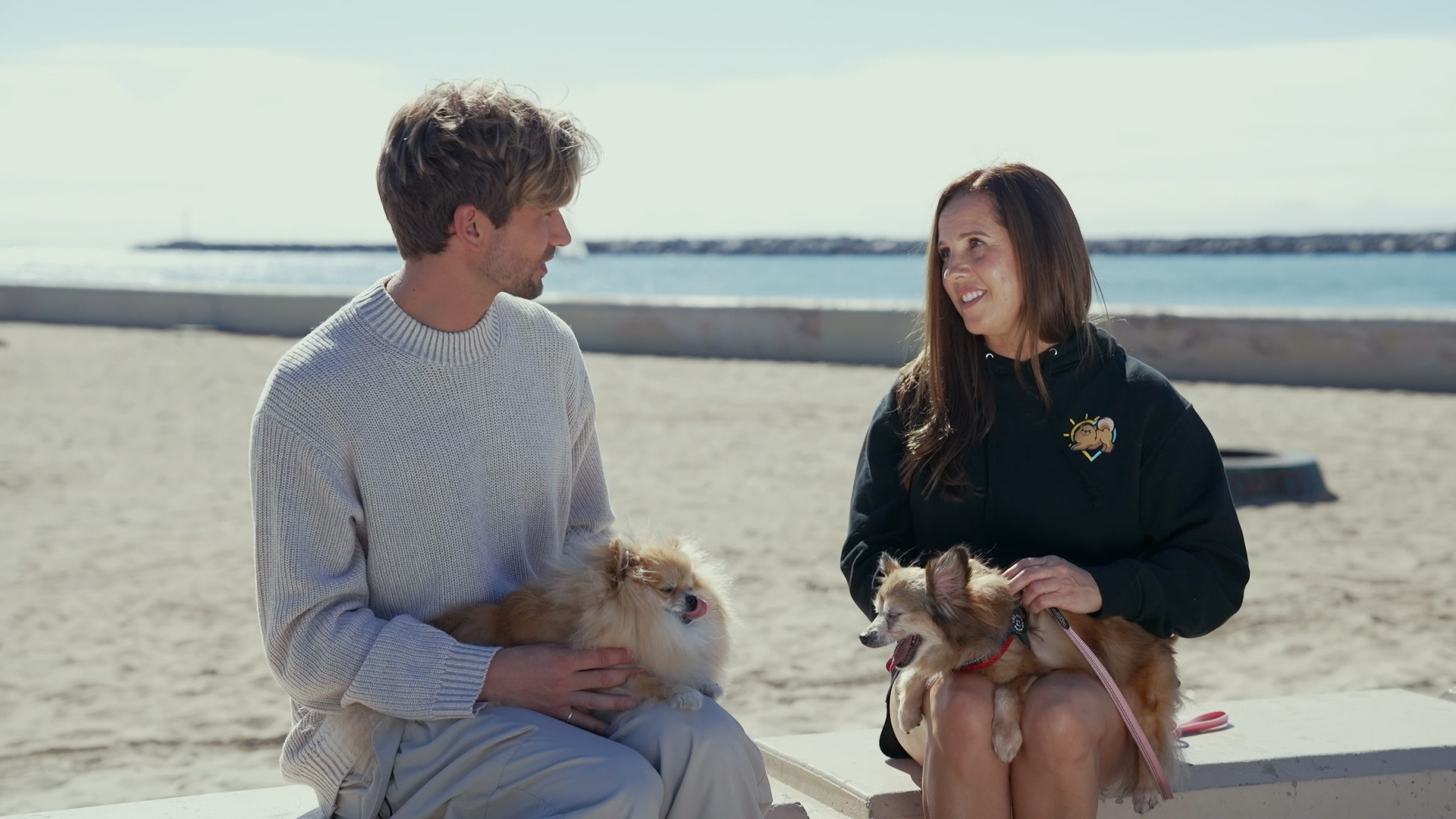 Little Dogs, Big Impact