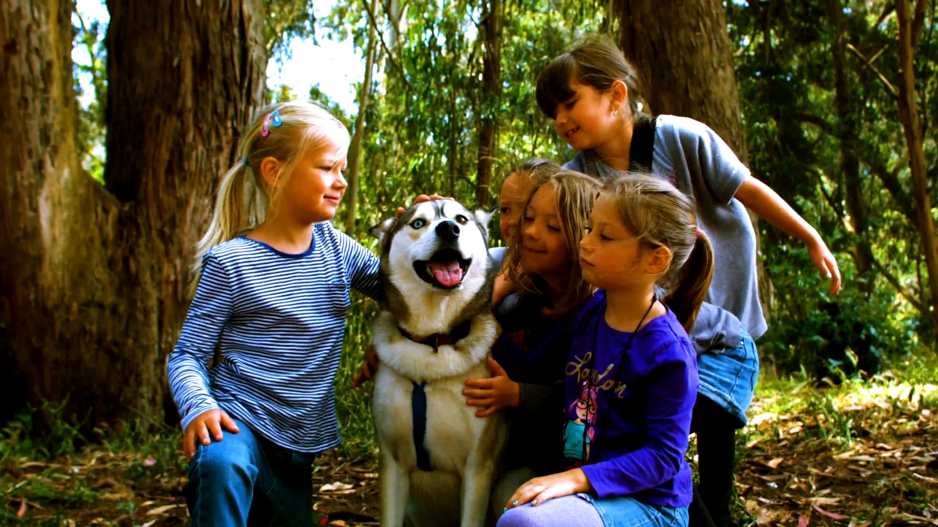 Friends in the Forest