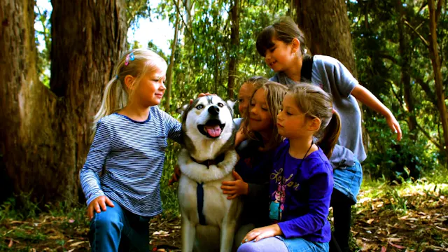 Friends in the Forest