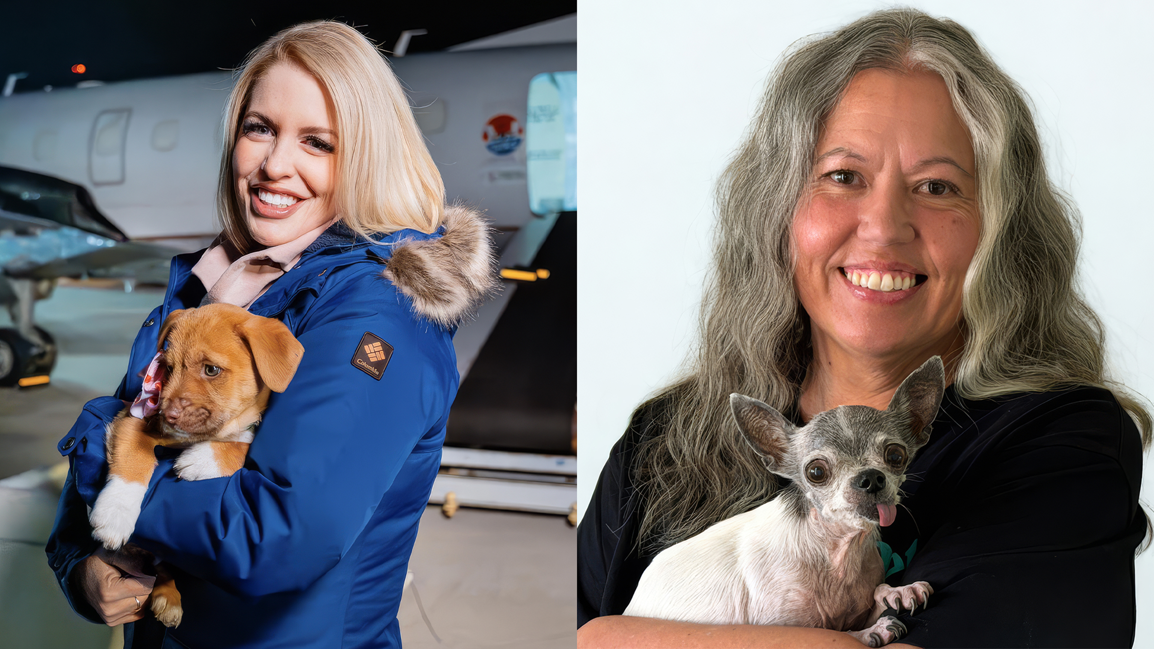 National Adoption Week, Shelter Success Stories & Finding Your Perfect Pet