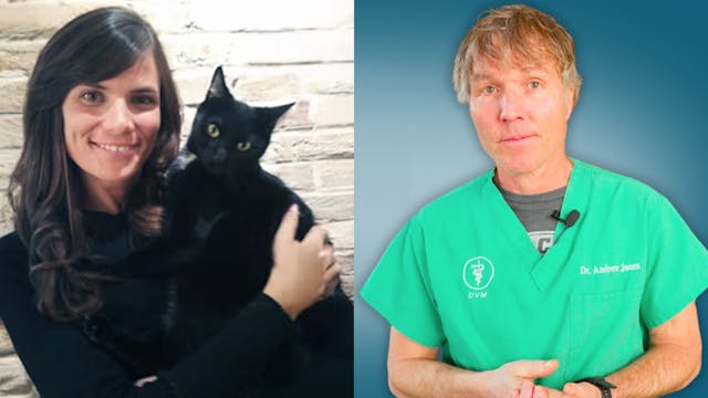 The True Cost of Pet Parenthood, Enri...