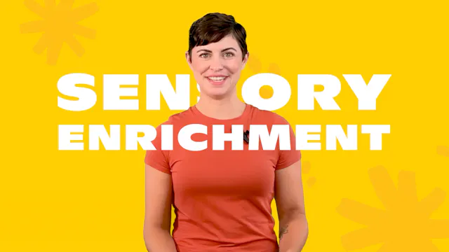 Sensory Enrichment