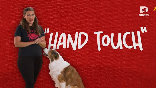 Hand Touch