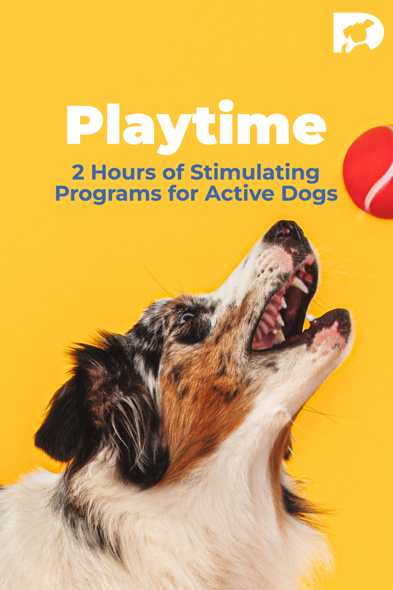 Playtime