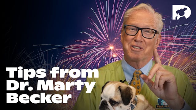Tips from Dr. Marty Becker