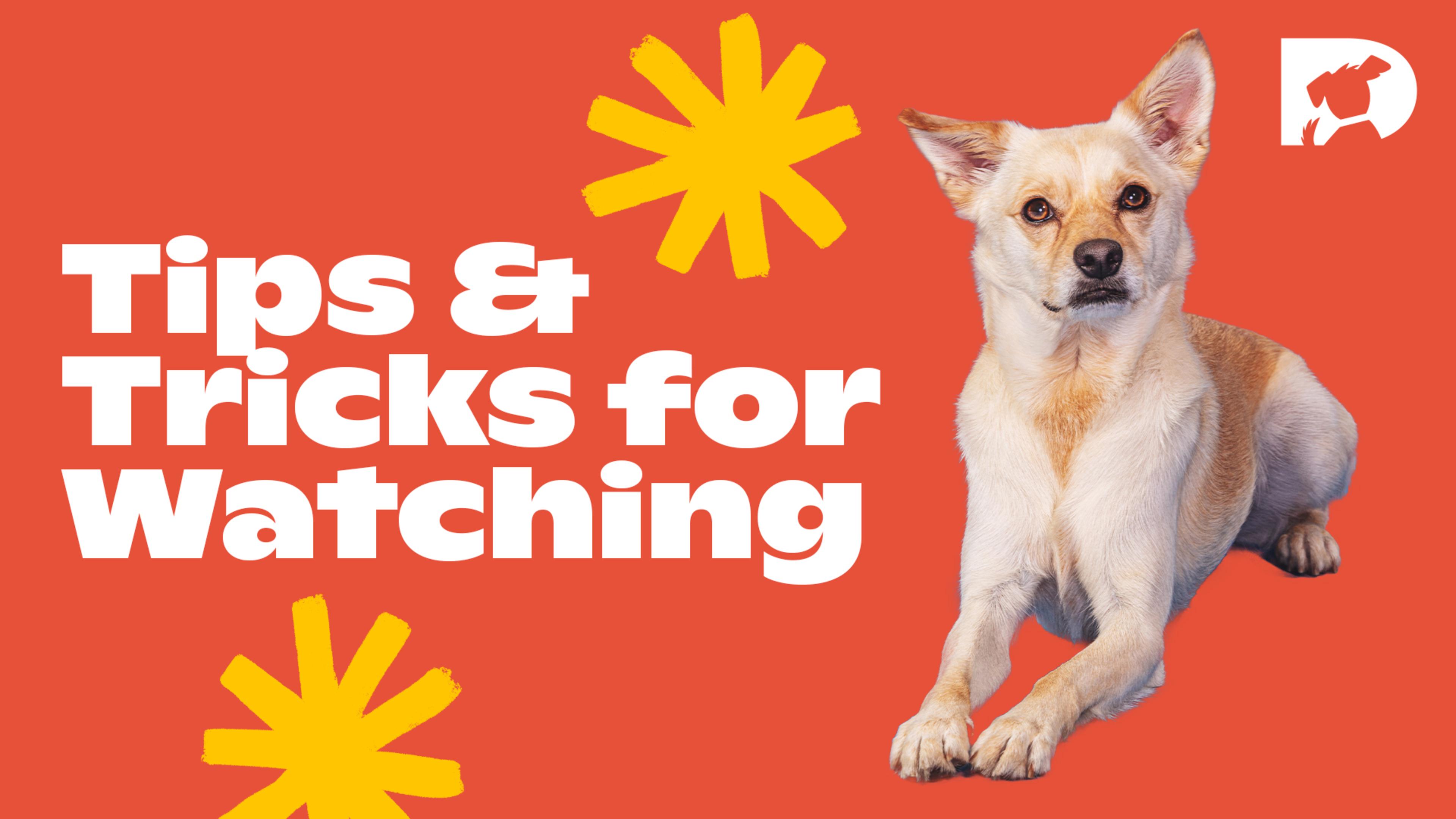 Tips and Tricks for Watching