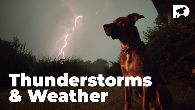 Thunderstorms & Weather