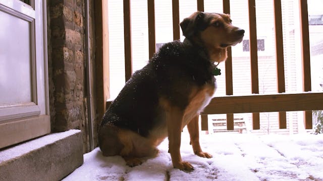 Snow Day Blues