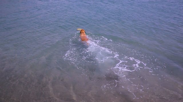 Water Fetch