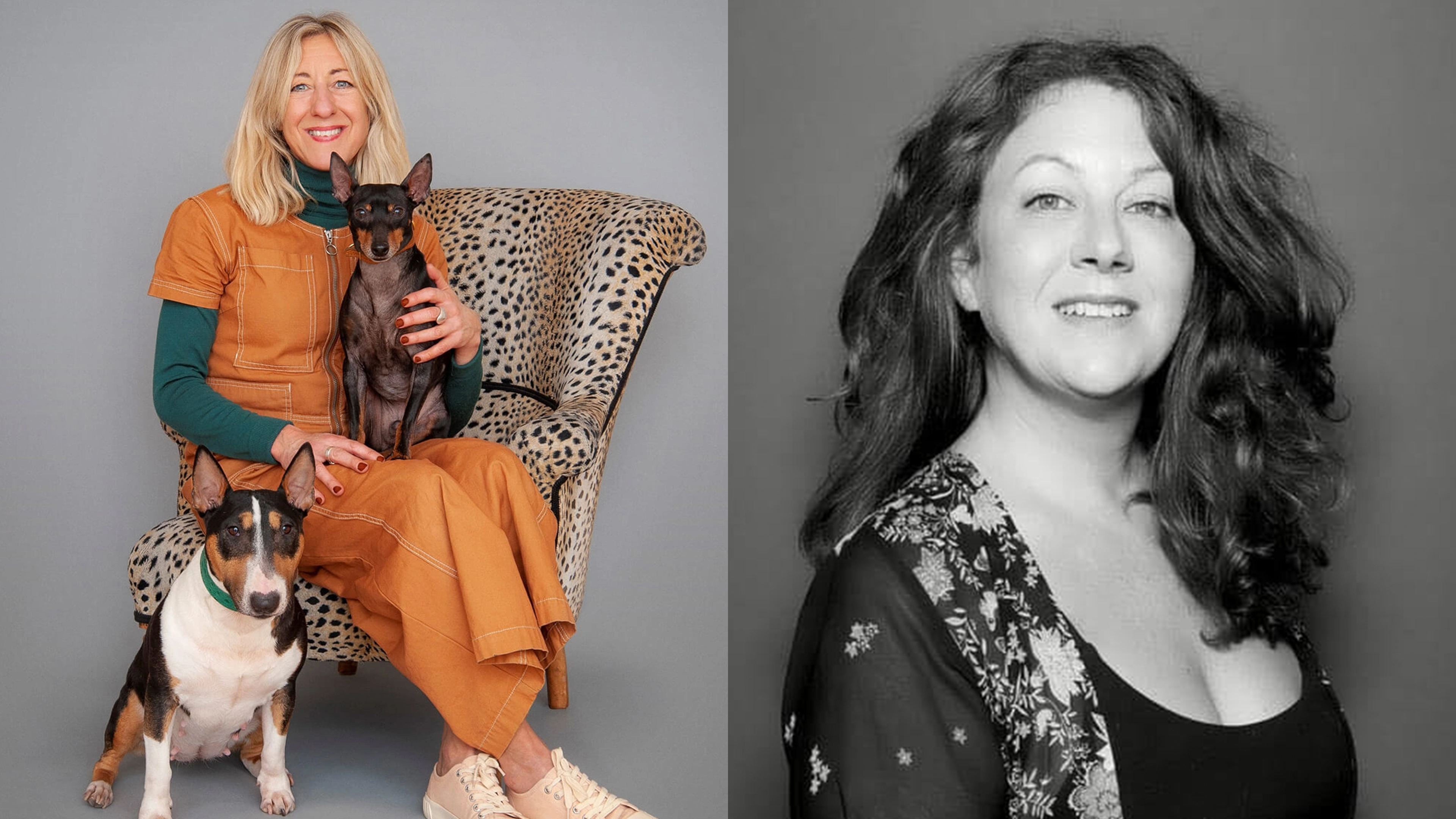 Dog-Friendly Pools, Office Pets & Global Pet Wisdom