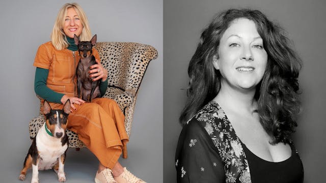 Dog-Friendly Pools, Office Pets & Glo...