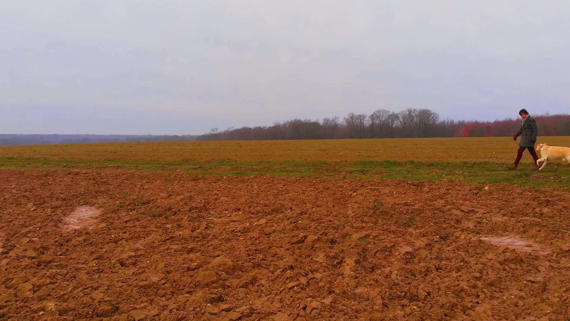 Along the Country Path