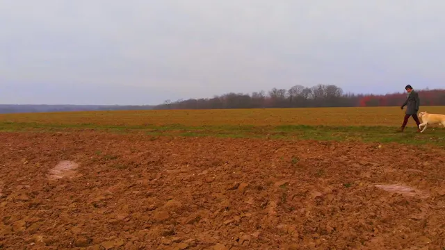 Along the Country Path