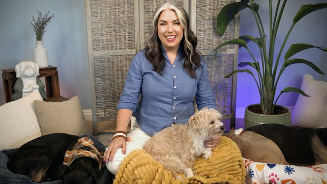 Weekend Meditations #4