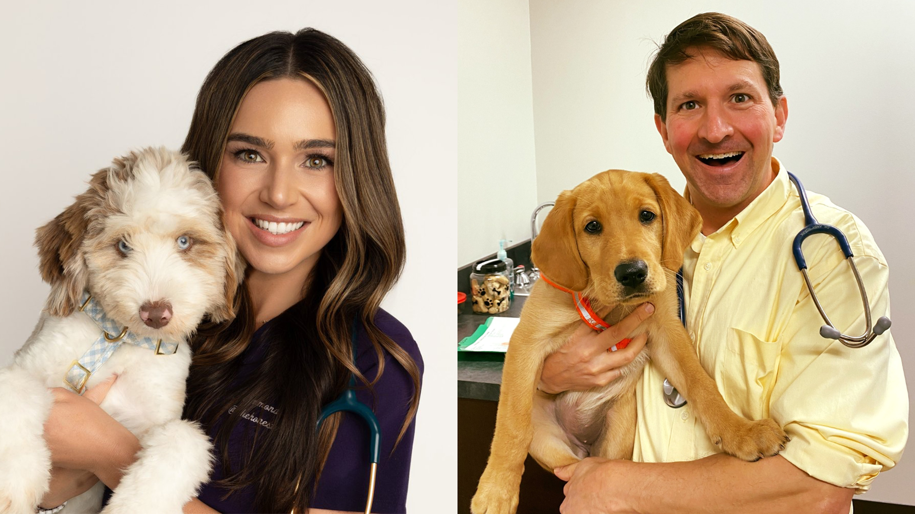 Pet Tech, Snake Safety & Cutting Through Veterinary Misinformation