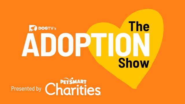 The Adoption Show