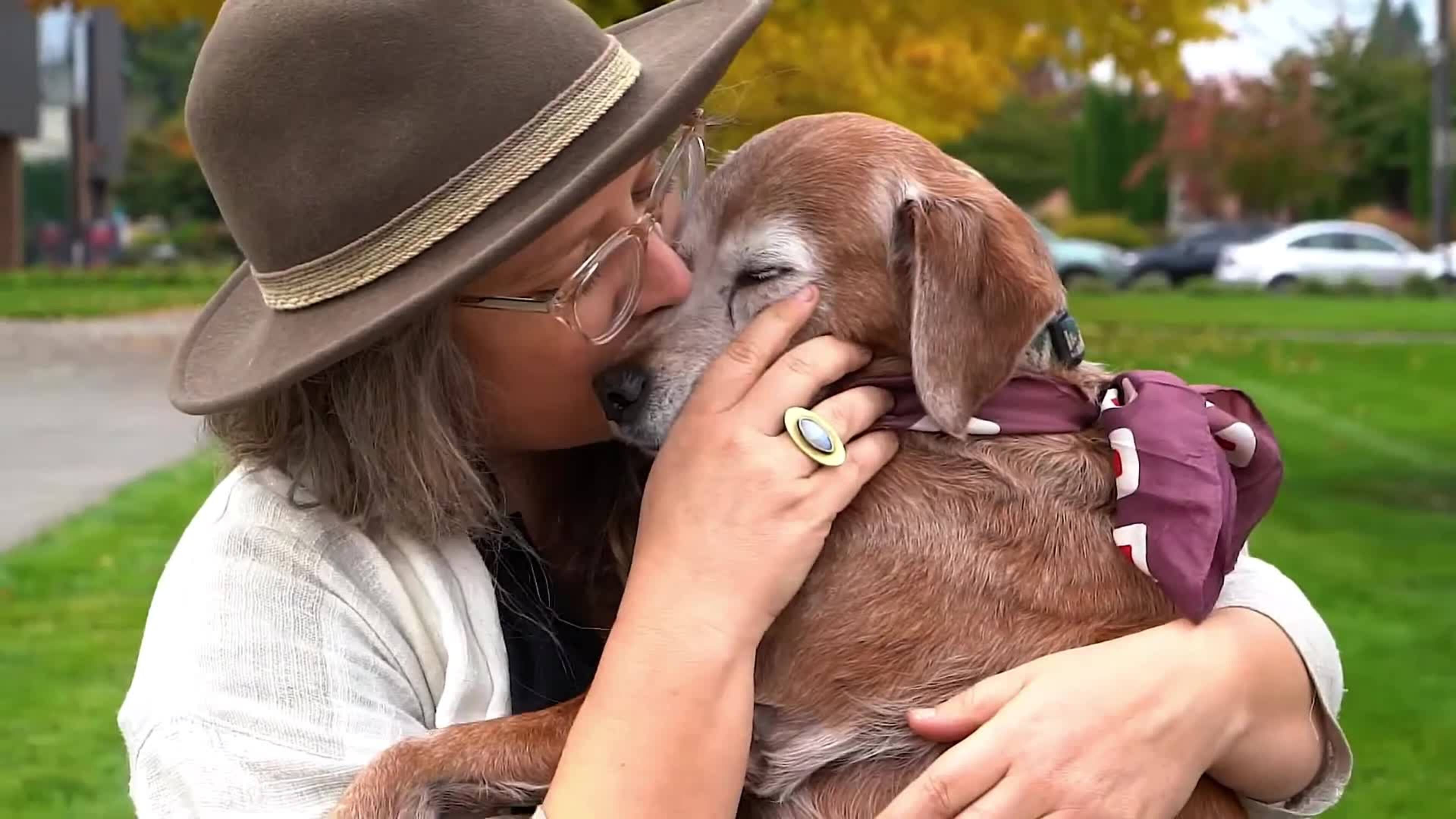 Compassion in Action