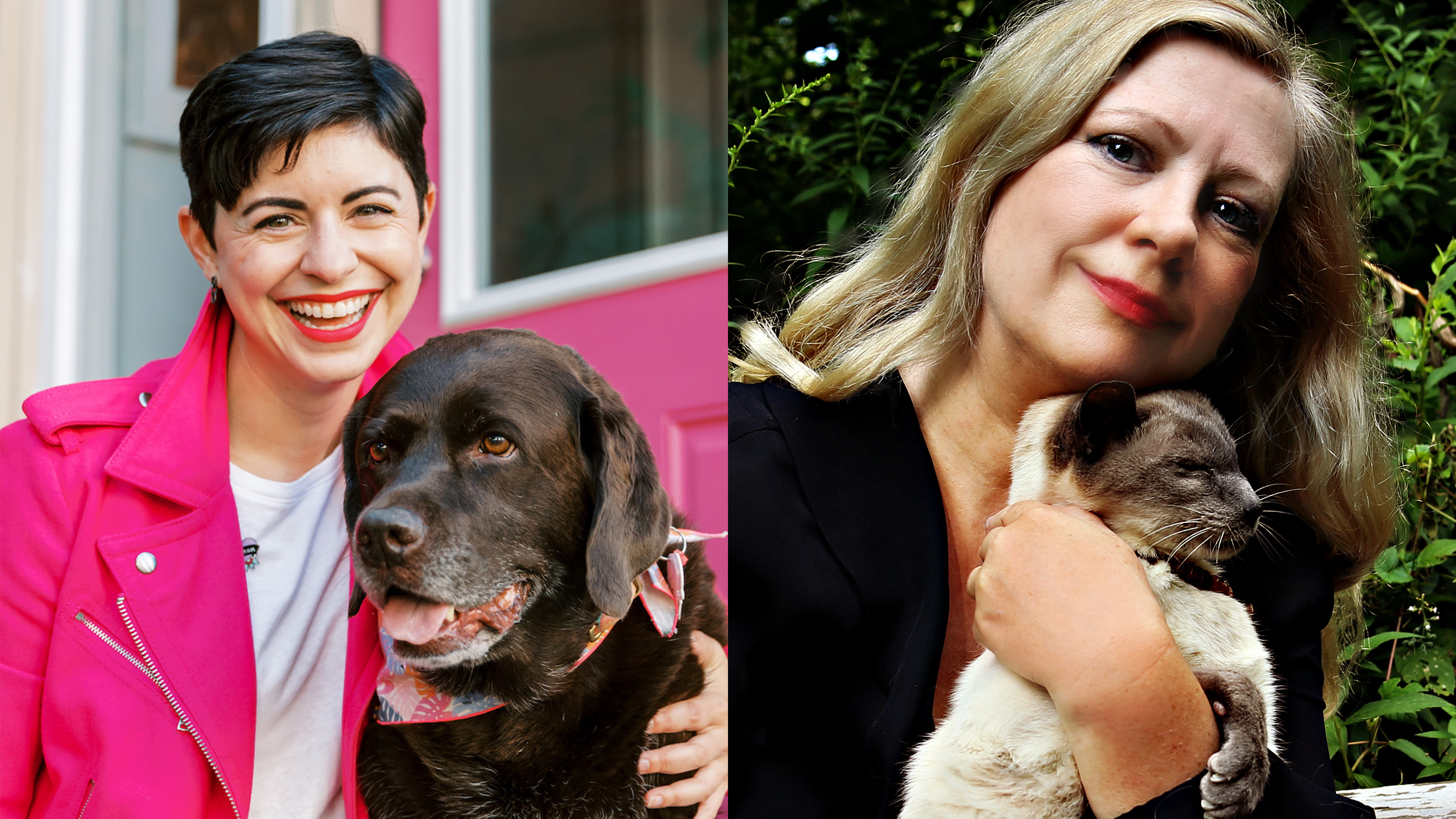 Dog Influencers, Social Media Trends & Holistic Cat Care