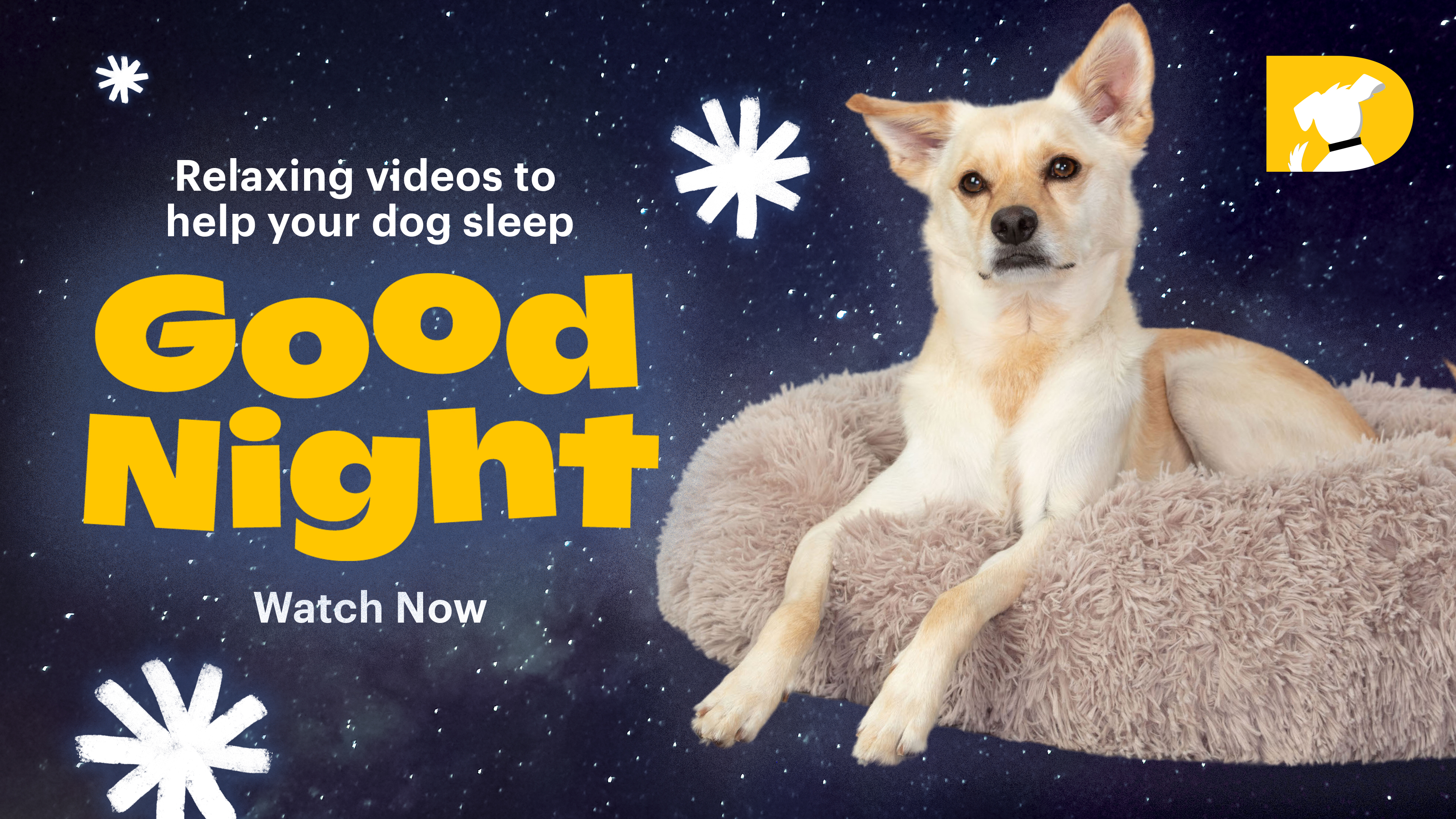 Soothe Your Dog to Sleep with Gentle, Calming Videos