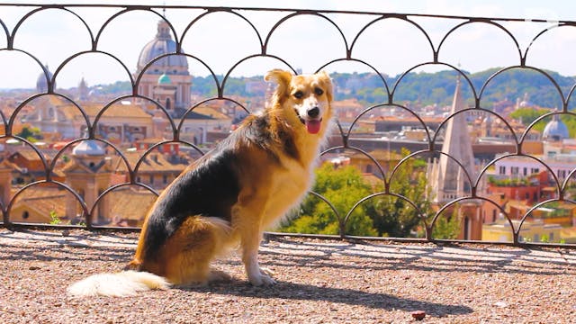 Sights & Sounds Around the World